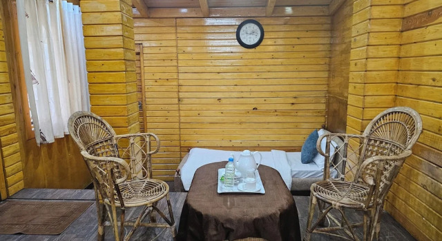 Номер Premium Ankit Vista Green Village