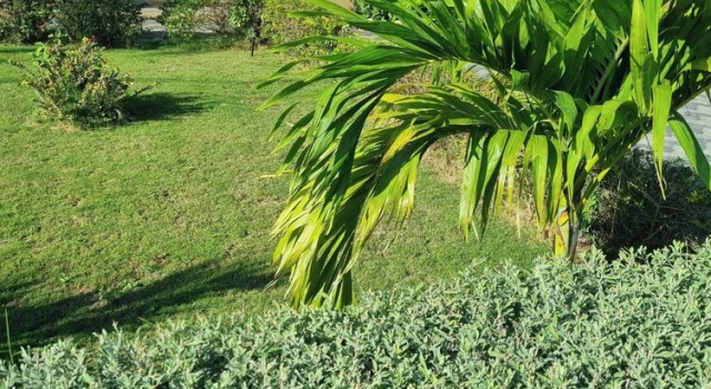 Коттедж 2-Bed Sleeps 4 Private Garden Parking