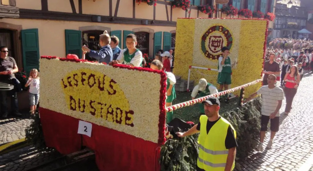 Daire Le Bacchus
