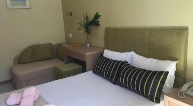 Апартаменты Dionisos Palms Apartments