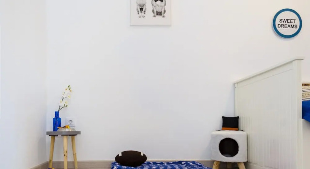 Apartup Viveros Pets, Забронировать Отель  