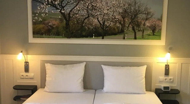 Двухместный номер Standard Jugendstilhotel Trifels