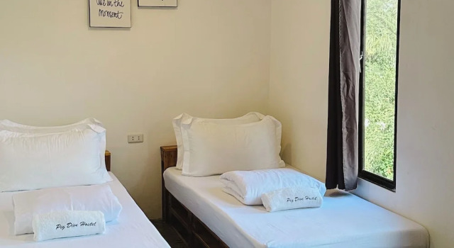 Двухместный номер Comfort Pig Dive Hostel Moalboal