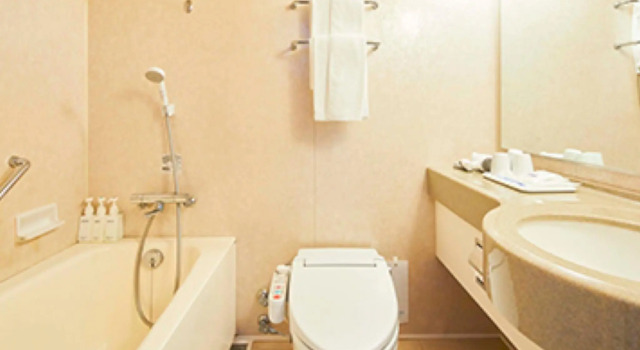 Одноместный номер Standard Hotel Lumiere Kasai