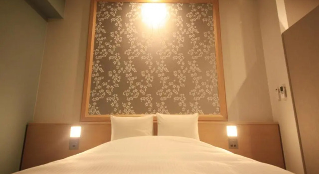Двухместный номер Superior Richmond Hotel Tokyo Mejiro