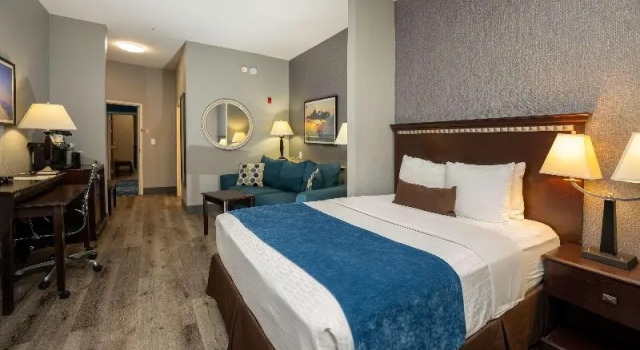 Одноместный номер Standard Comfort Suites Seabrook - La Porte - Kemah