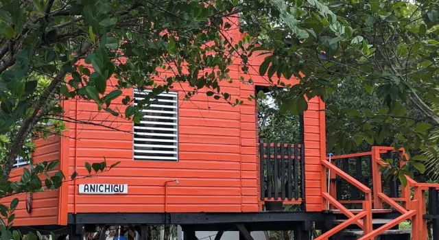 Номер Standard c 1 комнатой с красивым видом из окна Ночлег и завтрак Palmento Grove Garifuna Eco Cultural and Fishing Institute