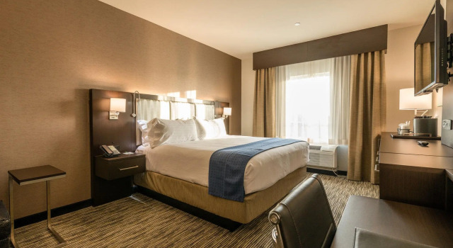 Номер Deluxe Holiday Inn Austin Airport by IHG