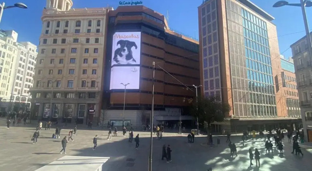 HC Hostel Madrid, Забронировать Хостел Мадрид Провинция Мадрид, рядом с Торговый центр Arturo Soria Plaza