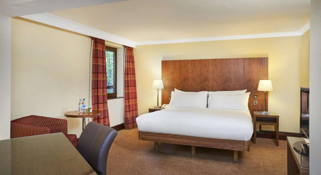 Полулюкс DoubleTree by Hilton Southampton