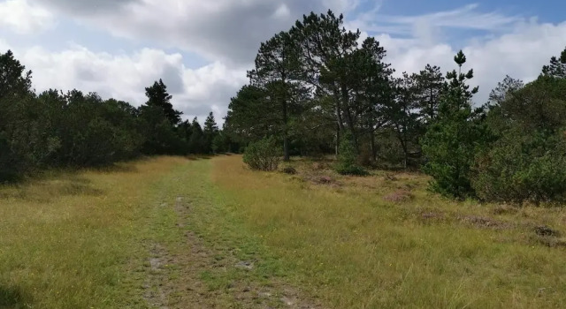 Коттедж 5 person holiday home in Nørre Nebel