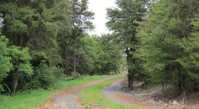 Студия Deluxe Auckland Country Cottages