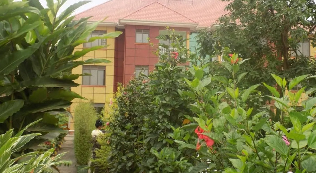 4D's Motel