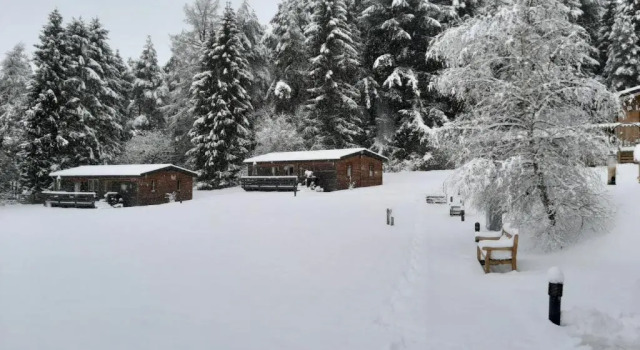 Номер Standard Tayview Lodges