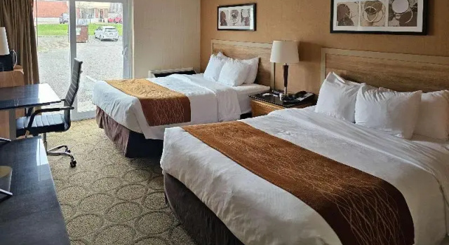 Четырёхместный номер Standard Comfort Inn