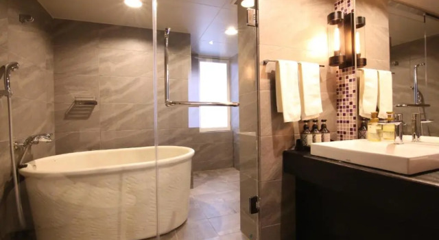 Двухместный номер Grand Quintessa Hotel Sapporo