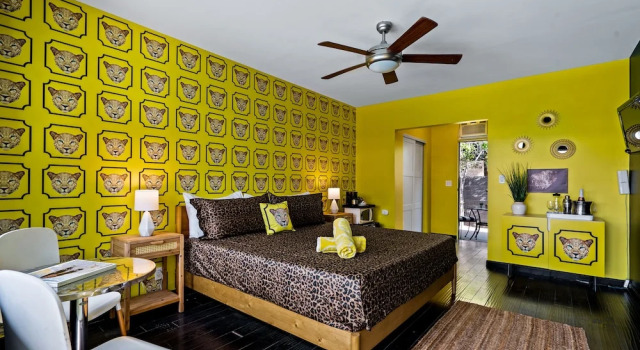 Номер Standard Cheetah Hotel