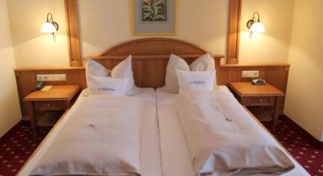 Полулюкс Deluxe Garden & SPA Hotel Das Götzfried