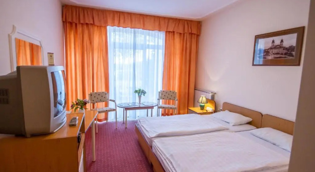 Двухместный номер Standard Platan Hotel