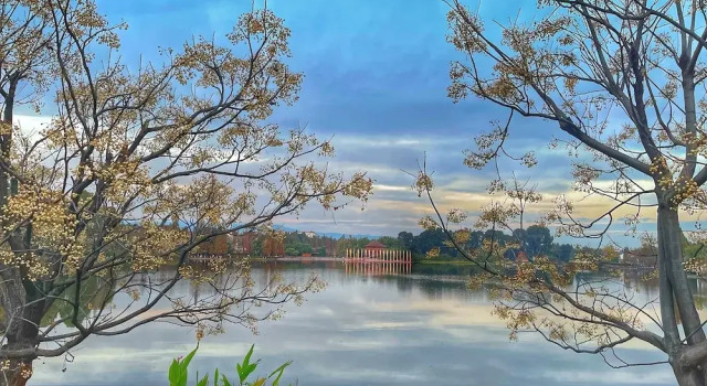 Двухместный номер Standard с балконом и с видом на озеро Yunnan Dianchi Garden Resort & Spa