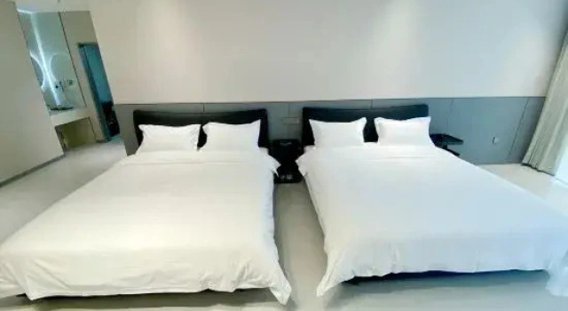 Люкс Business Xining Heige Light Luxury Homestay (Haidu Wanda Outlet City)