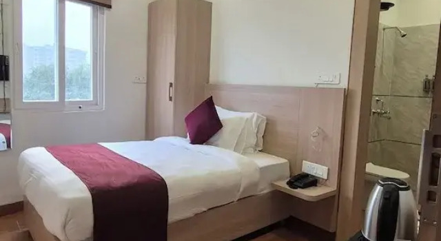 Номер Deluxe Darpan Nikunj Rubystone Express