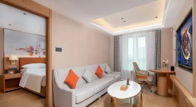 Люкс Business Vienna Hotel (5.0 Dongxia 100 Commercial City Branch)