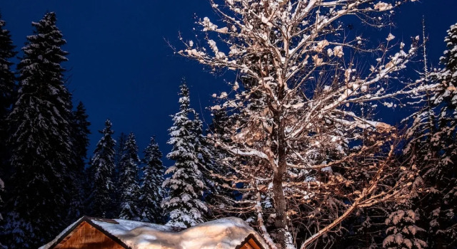 Номер Classic Lochsa Lodge