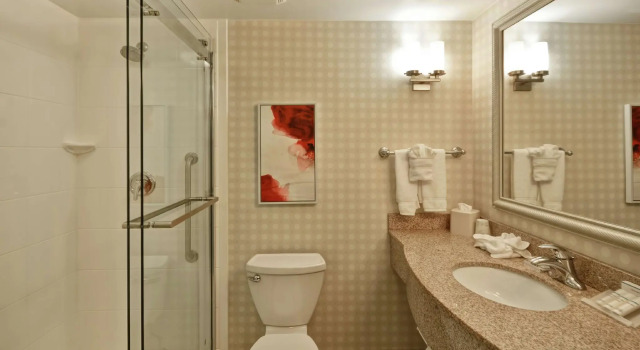 Двухместный номер Standard Hilton Garden Inn Riverhead