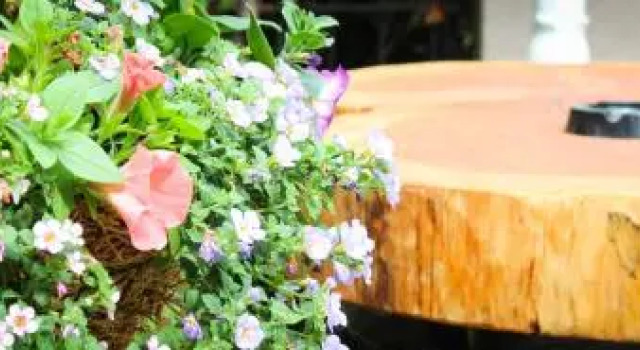 The Enniskerry Inn, Prenota Hotel  