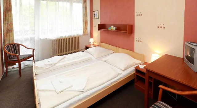 Номер Deluxe Hotel Zimní stadion Náchod