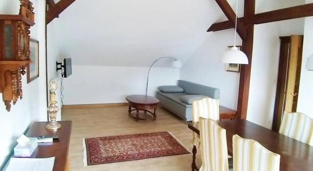Atelier Apartment with Traunsee Lake view, Book Apartment Gmunden 