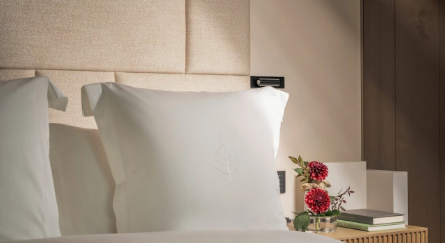 Двухместный номер Superior Four Seasons Hotel Osaka
