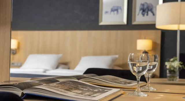 Одноместный номер Comfort Maritim Hotel Würzburg