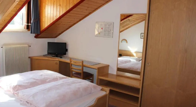 Двухместный номер Standard Hotel Rosalpina