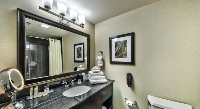 Двухместный номер Deluxe с видом на воду DoubleTree by Hilton Port Huron