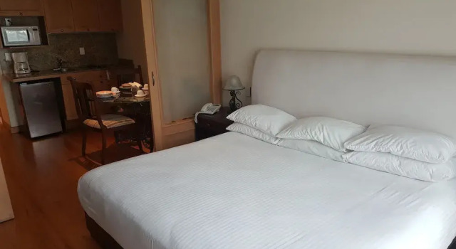 Полулюкс Suites Lerma 202