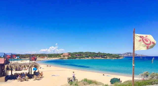 Splendido appartamento residence Porto Pollo, Réserver Appartement Porto Pollo Gallura