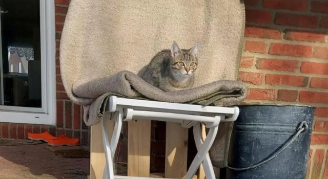 Коттедж Haus Michel