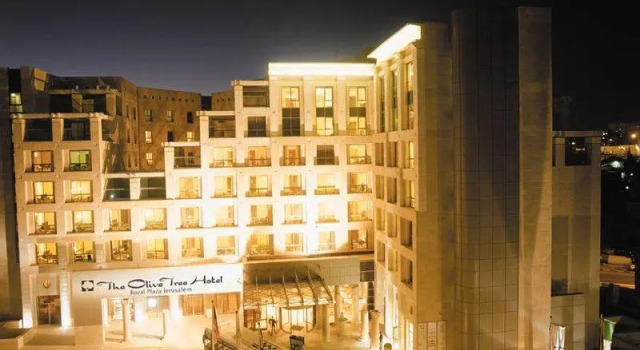 Standard- dobbelt værelse Olive Tree Hotel
