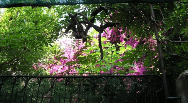 Camera tripla Superior con vista sul giardino B&B Malennio