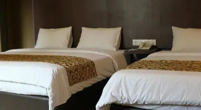 Полулюкс Hotel Rosmerah
