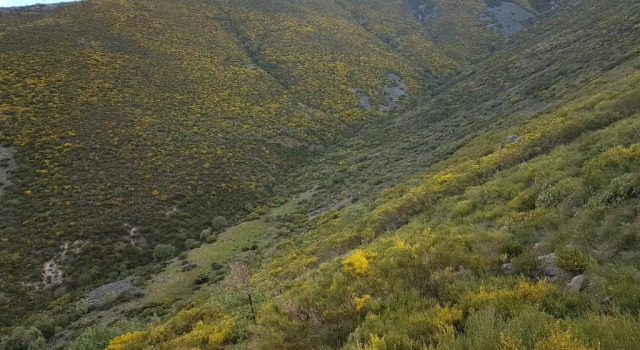 Коттедж Casa Rural El Castaño
