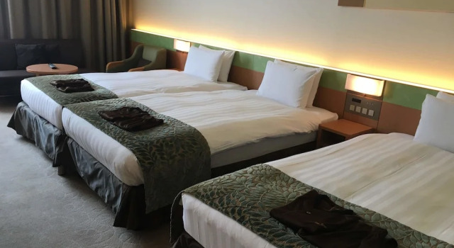 Номер Deluxe Spa & Hotel Maihama Eurasia