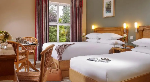 Номер Standard Shannon Springs Hotel
