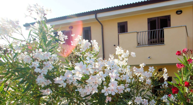 Sa Fiorida Apartments
