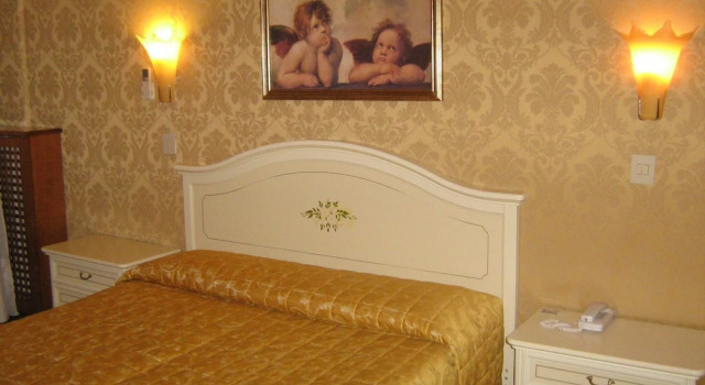 Одноместный номер Standard Airone Hotel