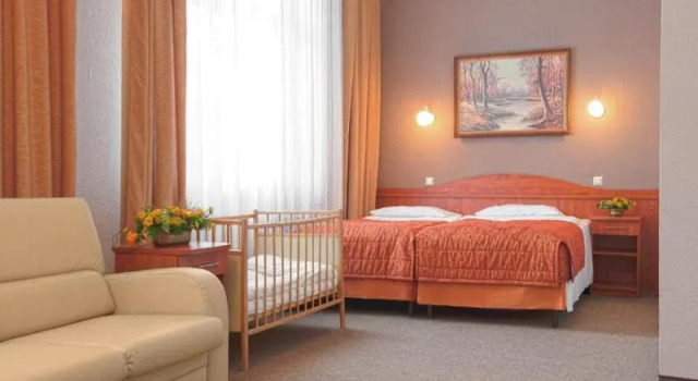 Трёхместный номер Standard Hotel Polonia Centrum