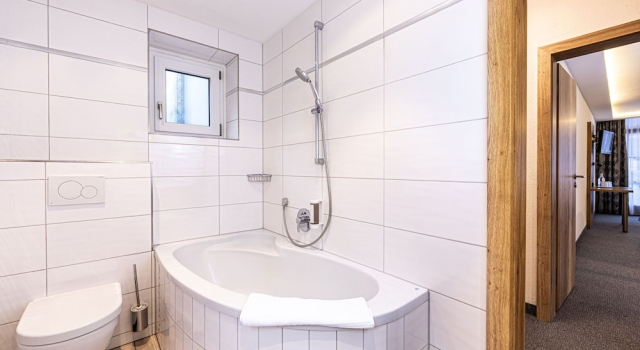 Семейный номер Standard с 2 комнатами с балконом и с видом на горы Hotel AlpinaRos