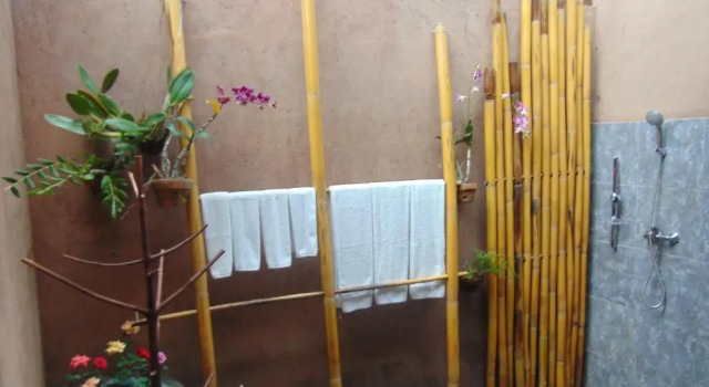 Номер Deluxe Amartya Puri Green Cottages